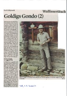 Goldigs Gondo (2)