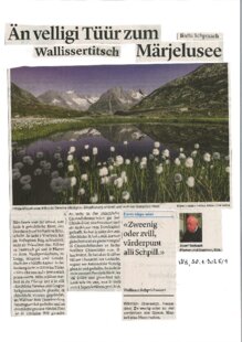 Än velligi Tüür zum Märjelusee