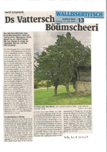 Ds Vatteersch Böümscheeri