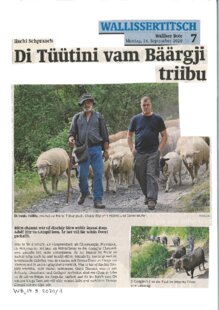 Di Tüütini vam Bäärgji triibu